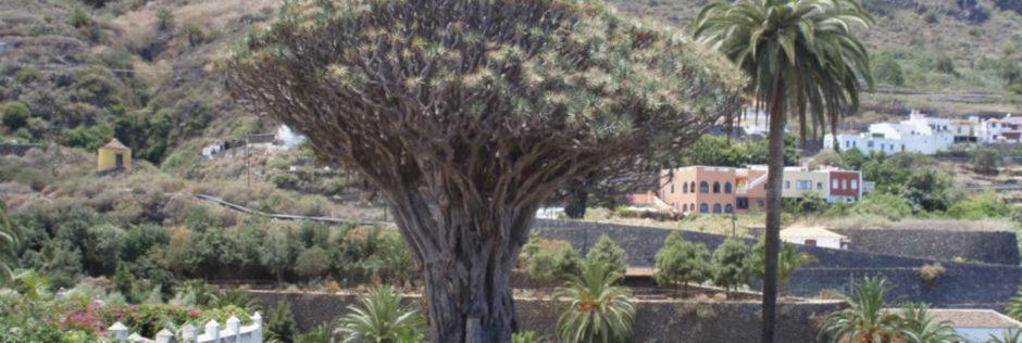 Stunning Views At Tenerife Tacoronte Exterior photo