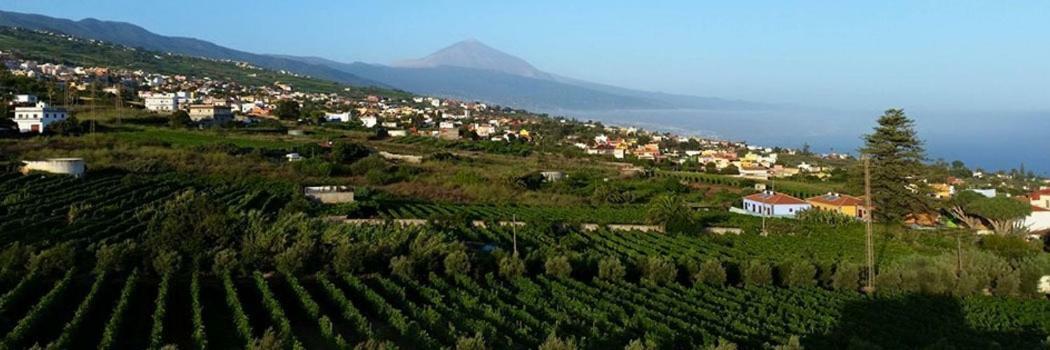 Stunning Views At Tenerife Tacoronte Exterior photo